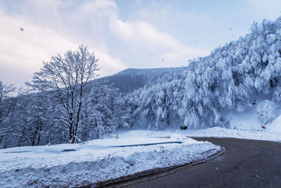 Winter road. country road through forest. travel concept.