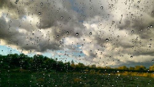 Close-up of water drops on glass