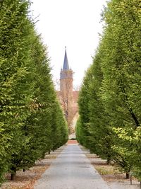 Footpath amidst trees and buildings against sky