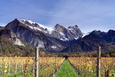 Scenic view of snowcapped mountains against sky