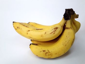 Close-up of yellow fruit against white background