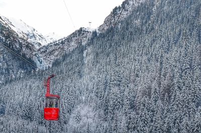 Red overhead car against trees on mountain