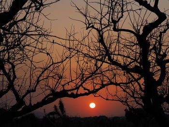 Low angle view of silhouette bare tree against sky during sunset