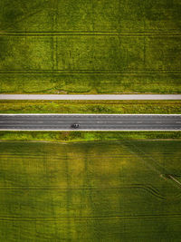 Full frame shot of green field