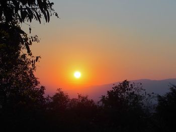 Silhouette trees against sky during sunset