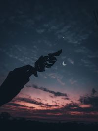 Silhouette person hand against sky during sunset