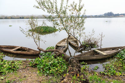 Abandoned boat moored by lake against trees