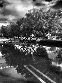 Trees by lake against sky