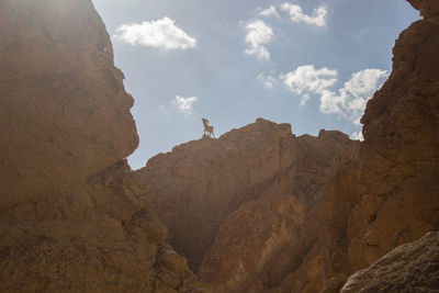 Scenic view of mountain goat figure against sky