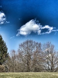 Bare trees on field against sky