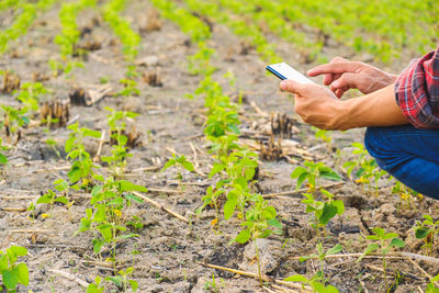 Man holding mobile phone in farm