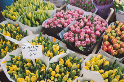 Various flowers at market stall for sale