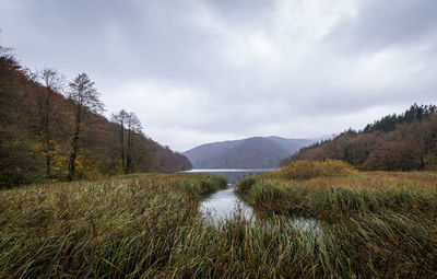 Scenic view of lake against sky