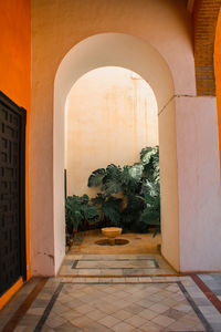 Corridor of building