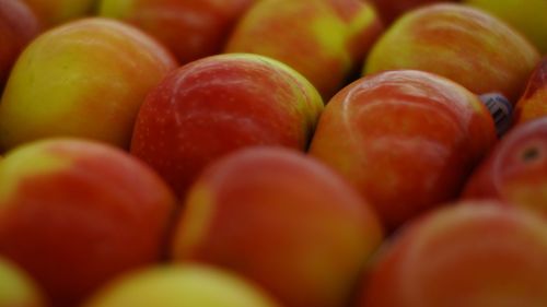 Close-up of fruits for sale at market