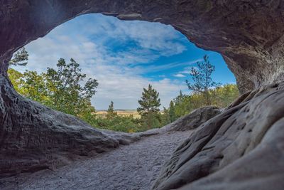 Rock formation amidst trees against sky