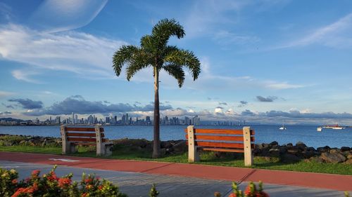 Palm trees by sea against sky