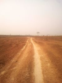 Road passing through field