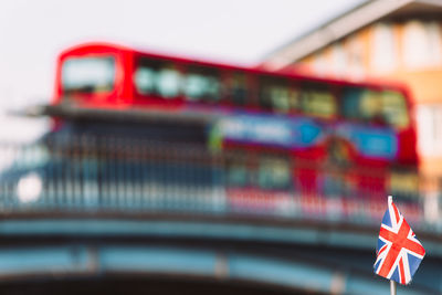 Close-up of red flower