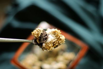 Close-up of porridge on spoon