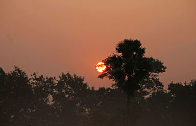 Low angle view of silhouette trees against romantic sky at sunset