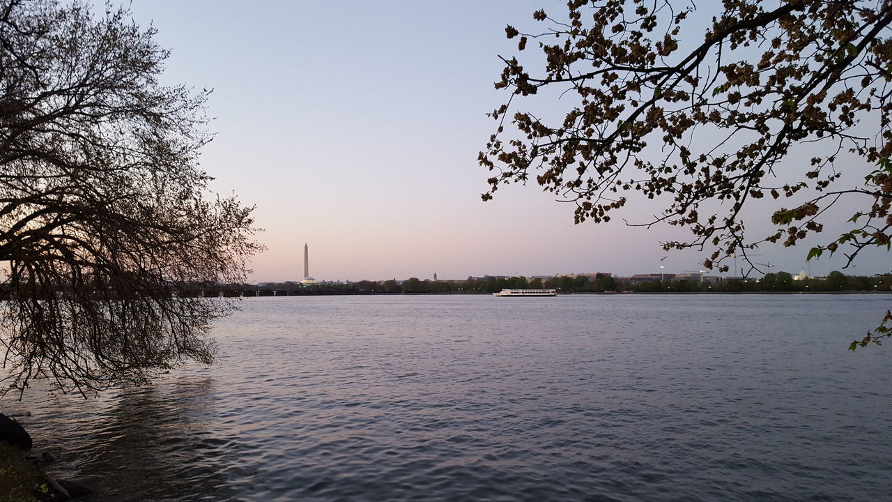 water, tree, clear sky, tranquility, waterfront, tranquil scene, scenics, lake, nature, beauty in nature, branch, river, rippled, silhouette, bare tree, copy space, sky, idyllic, outdoors, sunset