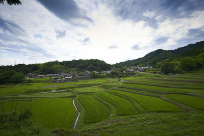 Scenic view of agricultural field against sky