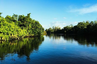 Idyllic river