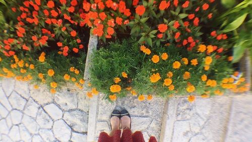 Low section of woman standing by flowers