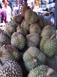 Full frame shot of cactus in market