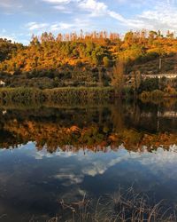 Reflection of trees in lake against sky