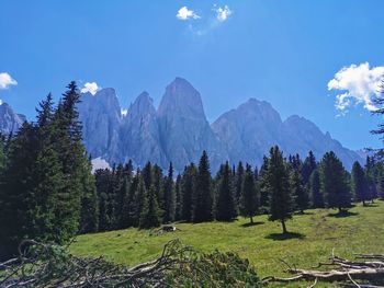 Trentino-alto adige