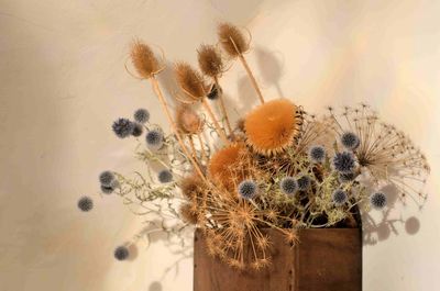 Close-up of caterpillar