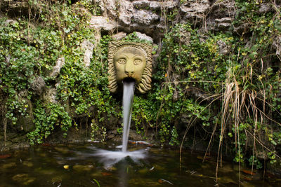 Statue amidst plants against water