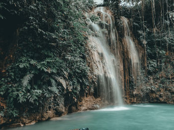 Scenic view of waterfall in forest