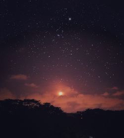 Low angle view of silhouette trees against sky at night