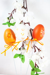 Close-up of tomatoes on plant