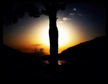 Silhouette of trees at sunset