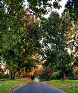 Road amidst trees during autumn