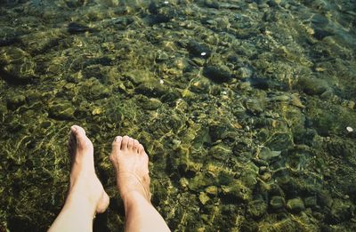 Low section of woman in water