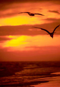 Scenic view of sunset sky