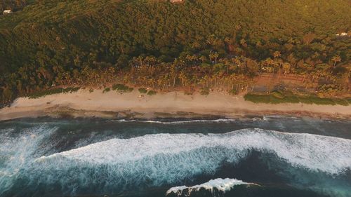 Scenic view of waterfall