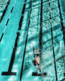 Reflection of trees in water