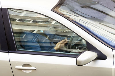 Reflection of man on car window