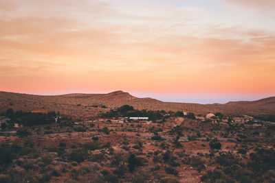 Scenic view of field against sky during sunset