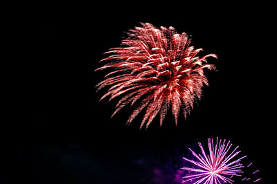 Low angle view of fireworks against sky at night