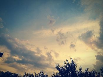 Low angle view of silhouette trees against sky