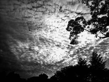 Low angle view of silhouette tree against storm clouds