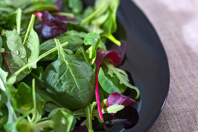 A fresh vegetarian salad, a close-up