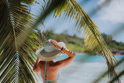 Rear view of woman standing by palm tree at beach